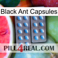 Black Ant Capsules viagra4